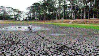 Nước và biến đổi khí hậu